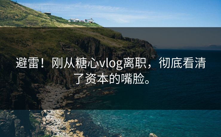 避雷！刚从<strong>糖心vlog</strong>离职，彻底看清了资本的嘴脸。