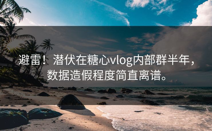 避雷！潜伏在<strong>糖心vlog</strong>内部群半年，数据造假程度简直离谱。